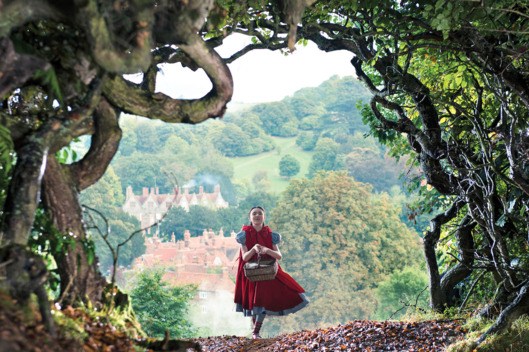 18-into-the-woods-w529-h352