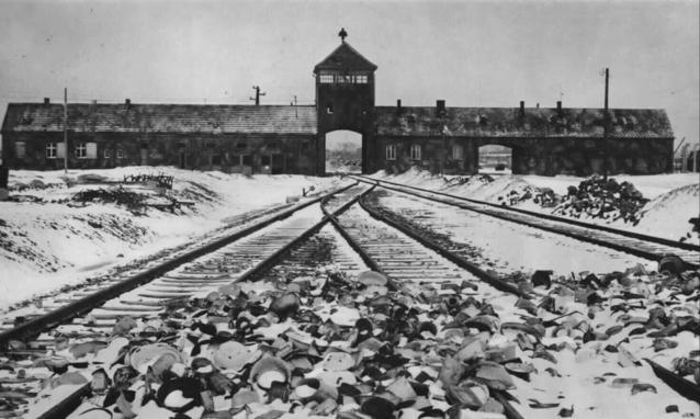 auschwitz_h_partb