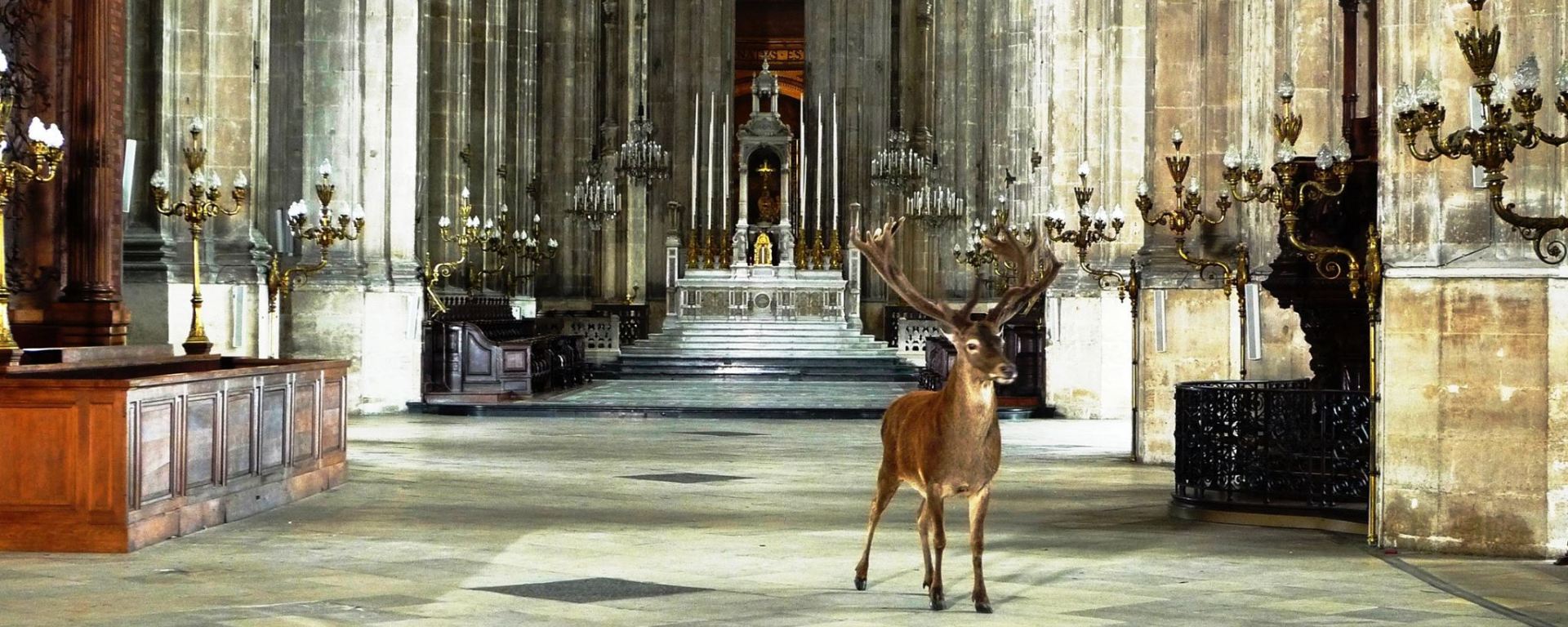 eglise-saint-eustache-2