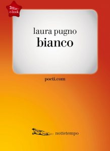 pugnocoverebook-600x825