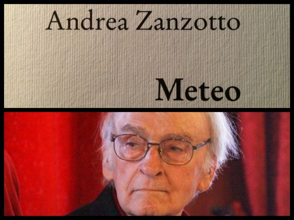 zanzotto-fioroni-copia_fotor_collage-e1441957654338