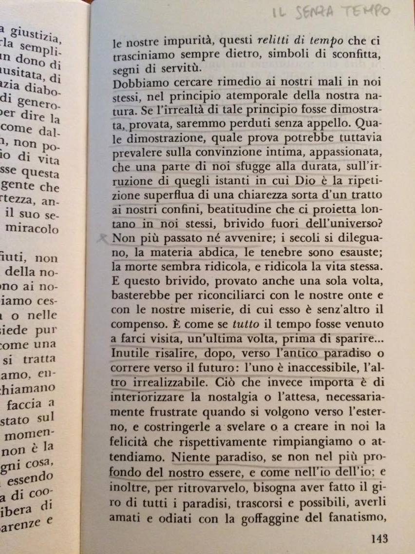 22766684_10214732290885702_1505201181_o