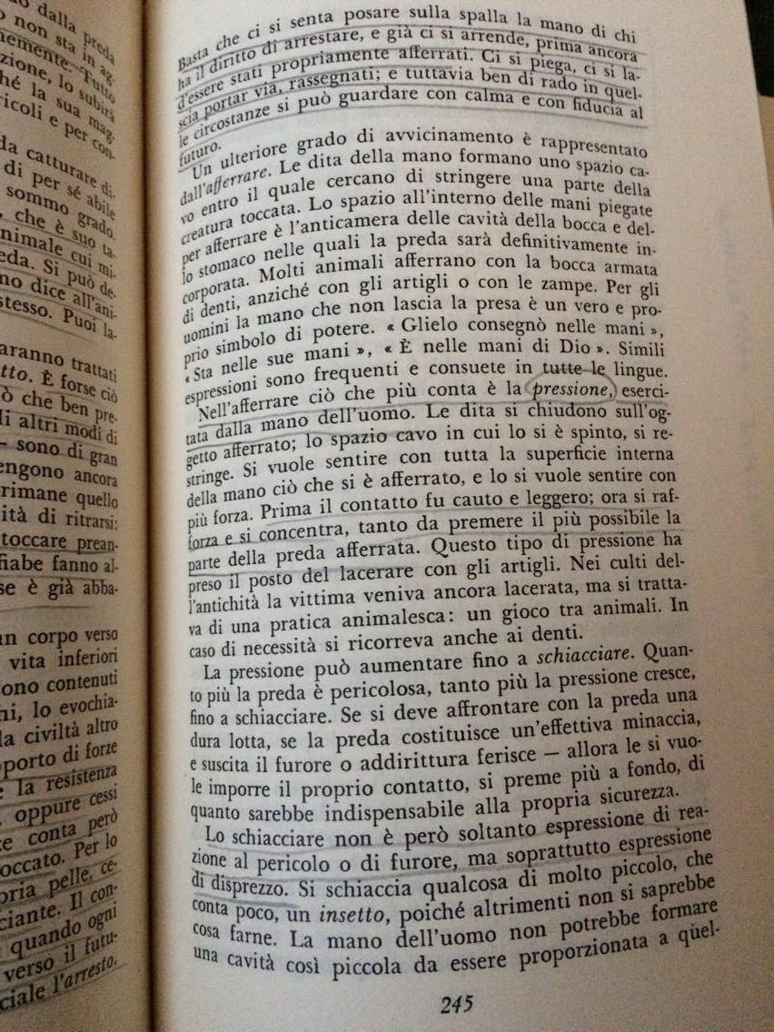 22790929_10214733938246885_124746587_o