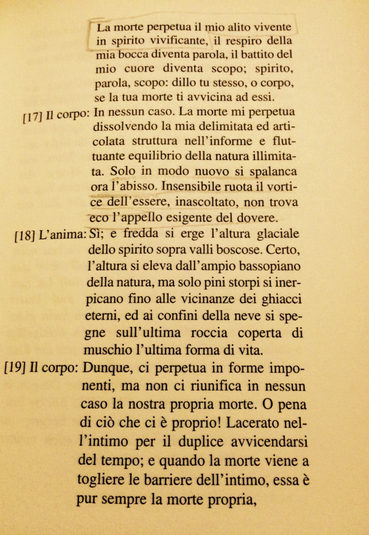 il-grido-e1450945013693