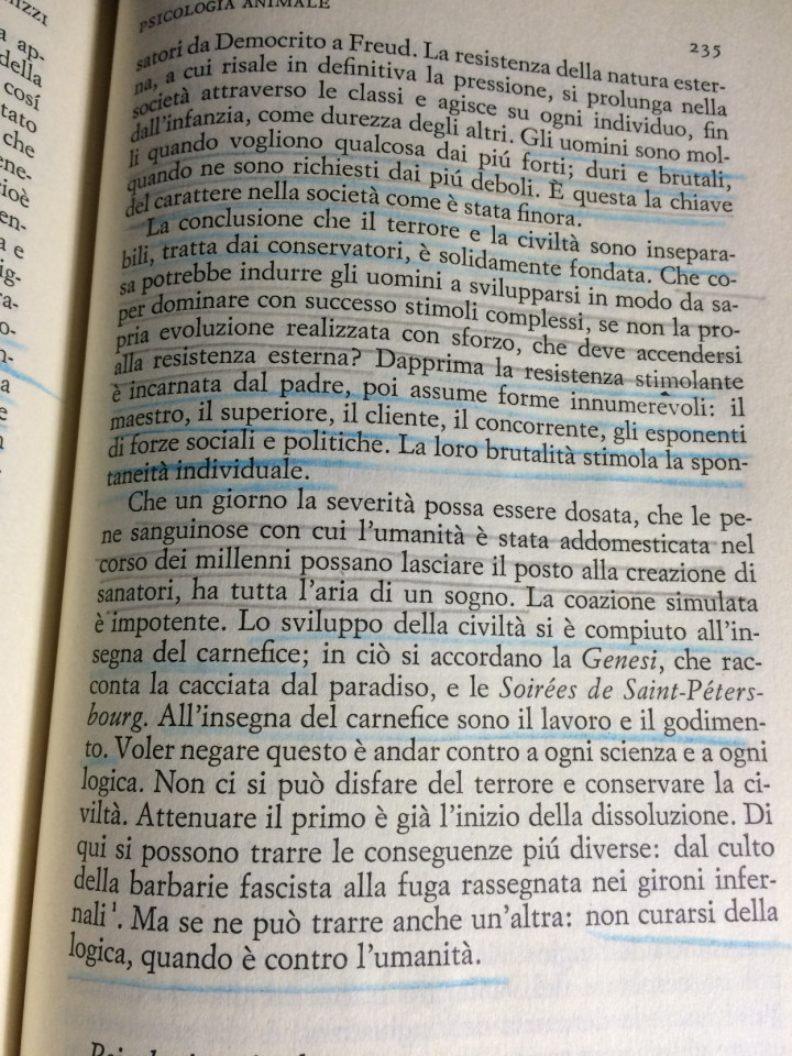 img_4925-e1452036580816