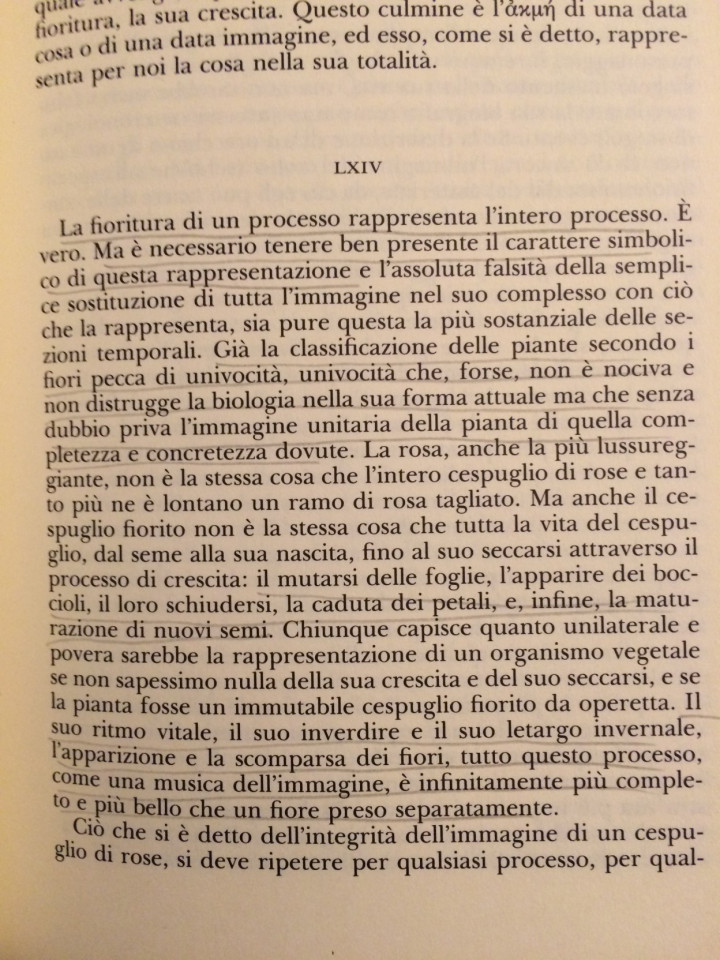 img_4981-e1452547008335